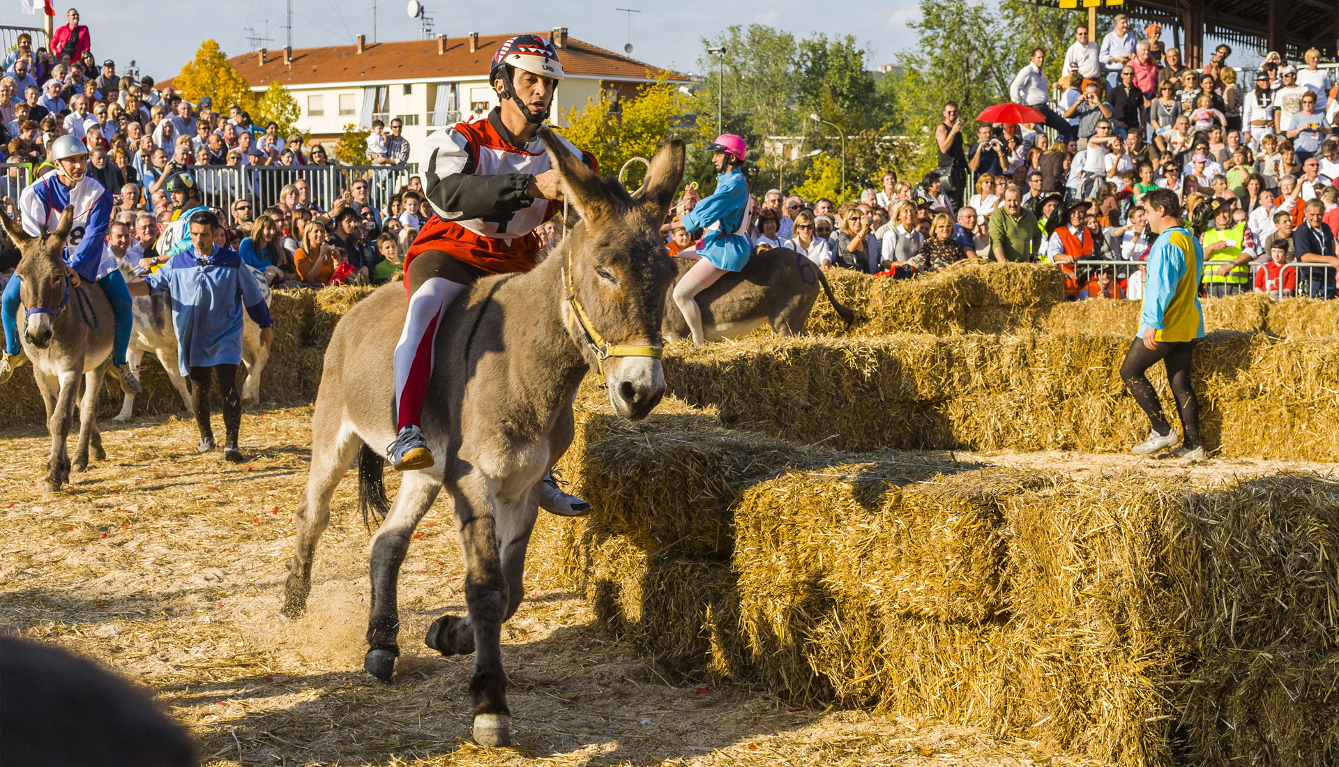 Alba Donkey Palio, A Medieval revival