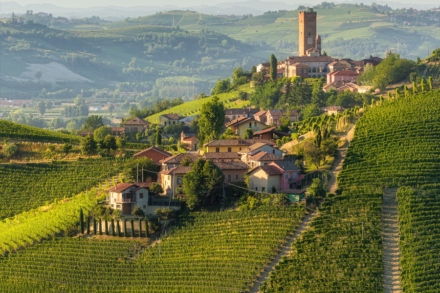 The town and vineyards of Barbaresco