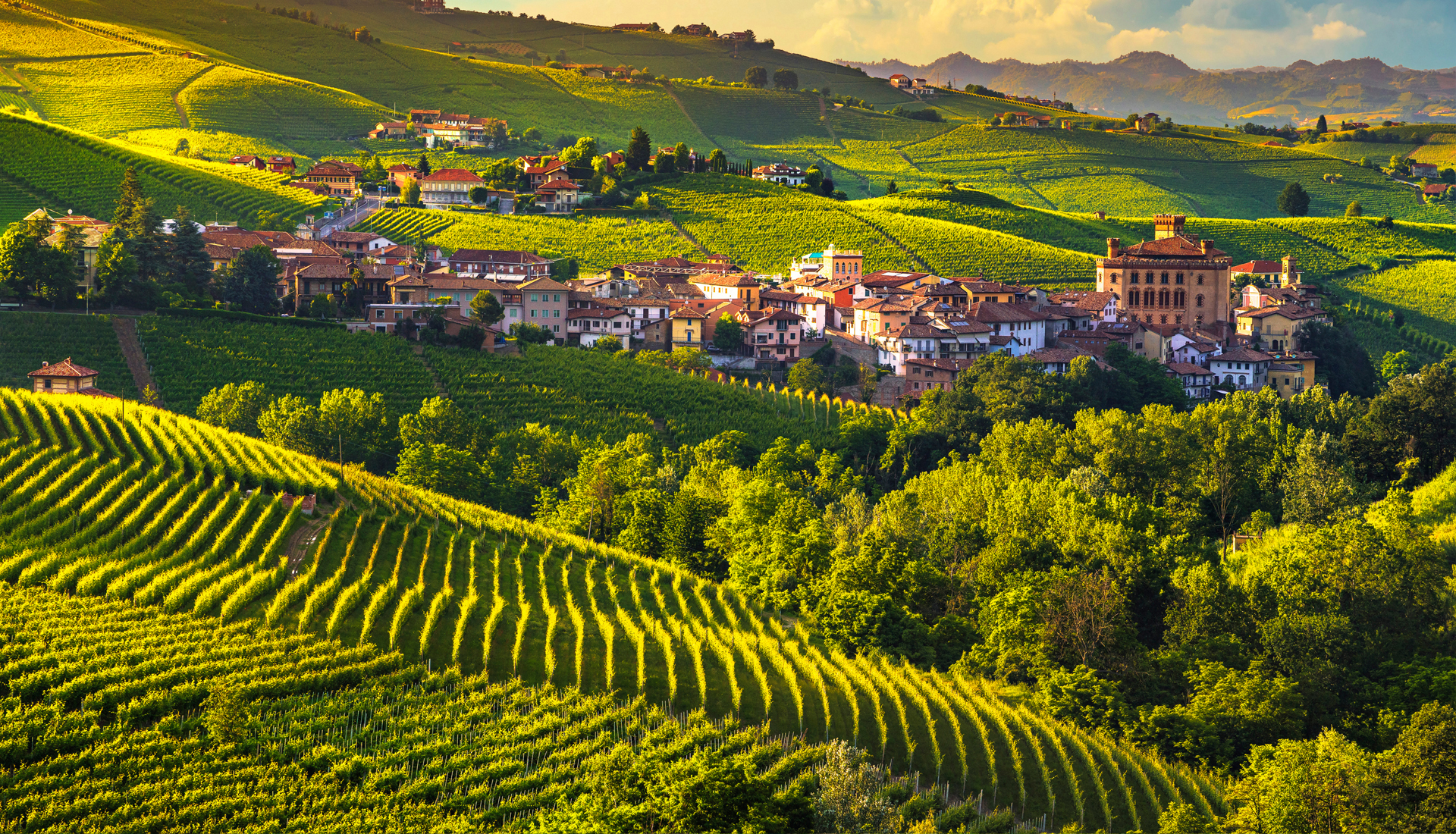 Barolo, the king of wines, the wine of kings