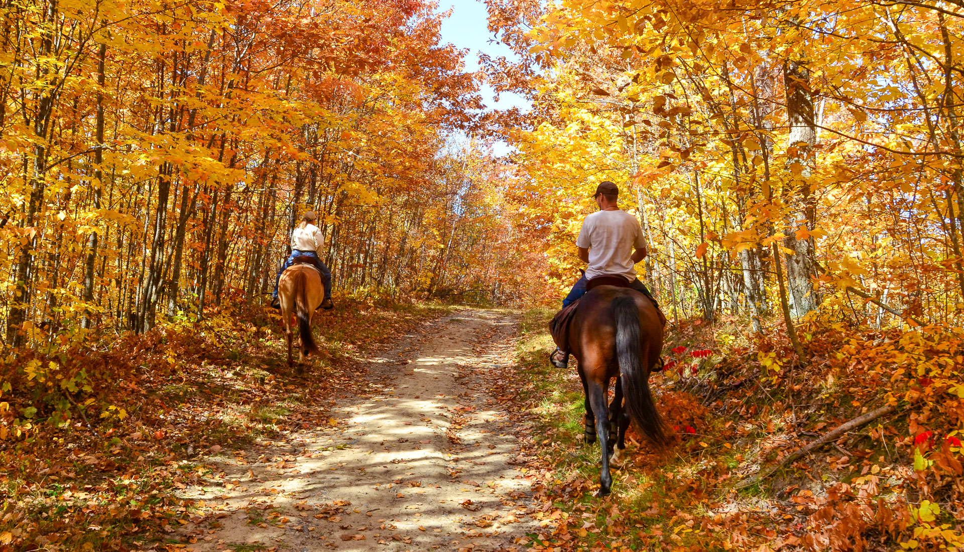 Horse riding, saddle up