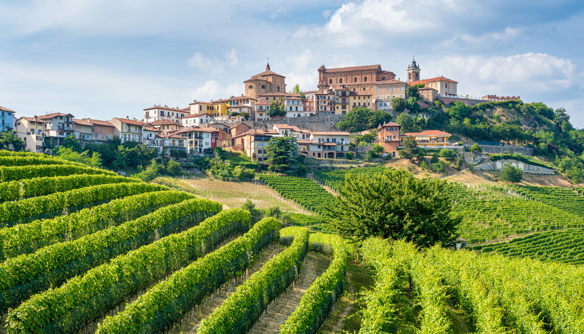 La Morra, stunning views of the Lange hills