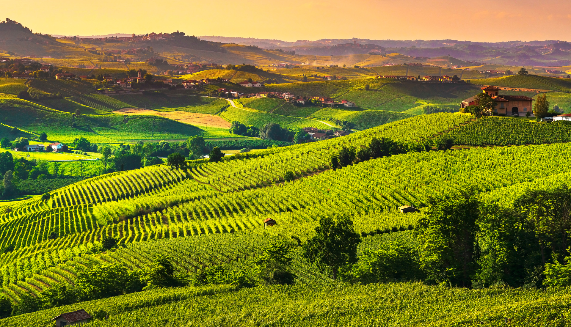 Vineyard Landscape of Piedmont: Langhe-Roero and Monferrato, a UNESCO World Heritage Site