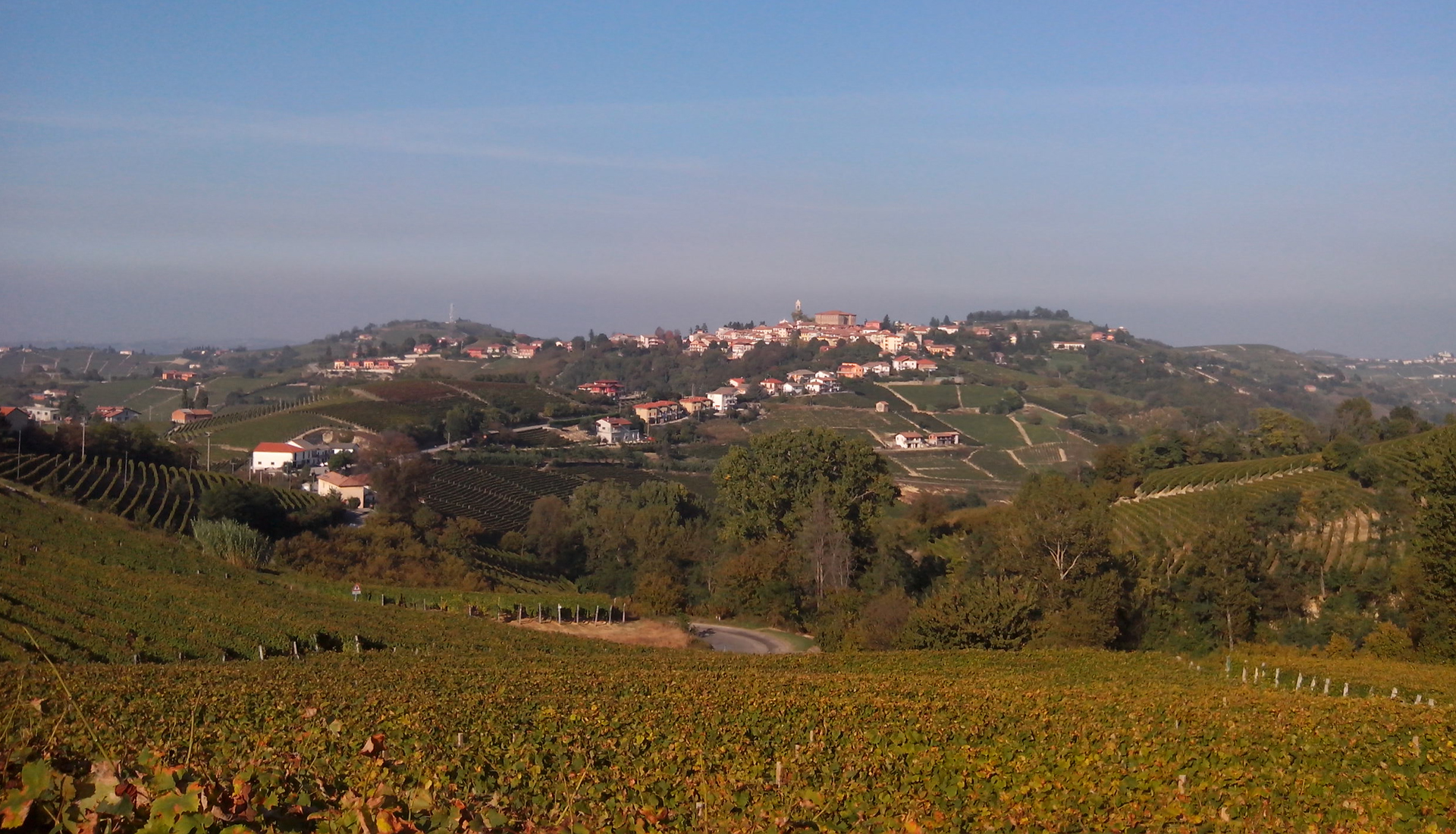 Mango, the heart of Moscato country.